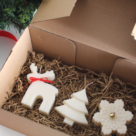 Reindeer Gift Box